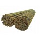 Tyč bambusová 300cmx22-24mm