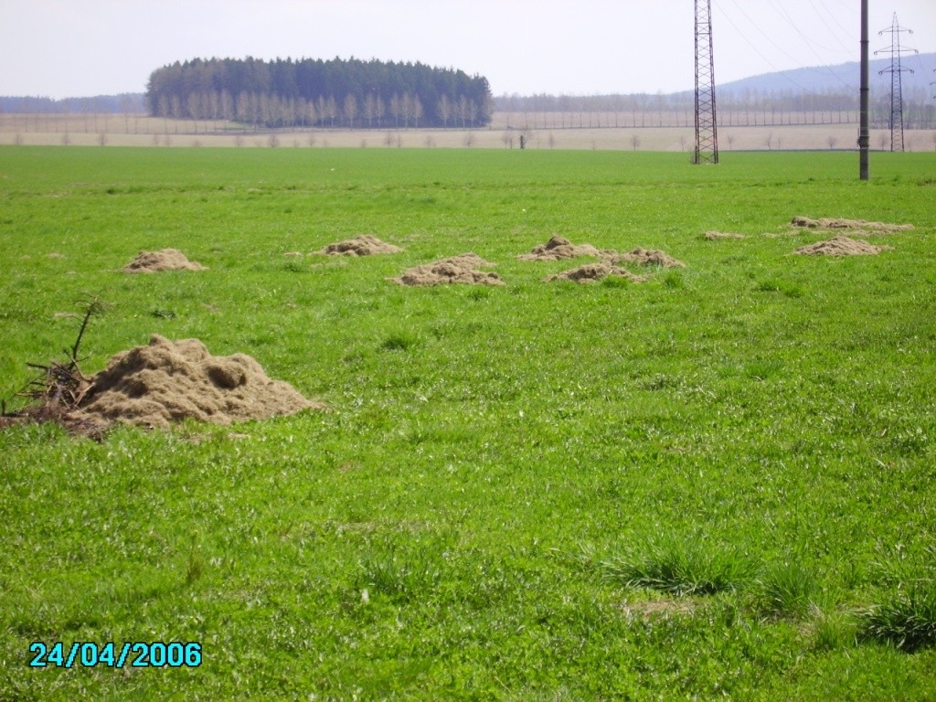 Cub Cadet Cub Cadet XC1 B40 vertikutátor (CC V 40 B) XC1 B40, cc v 40 b